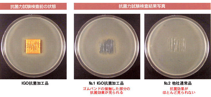 抗菌力試験検査結果写真